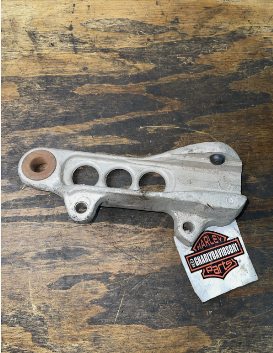 Brake rear brake caliper assembly